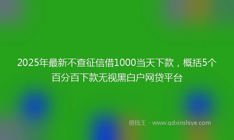 2025年最新不查征信借1000当天下款，概括5个百分百下款无视黑白户网贷平台