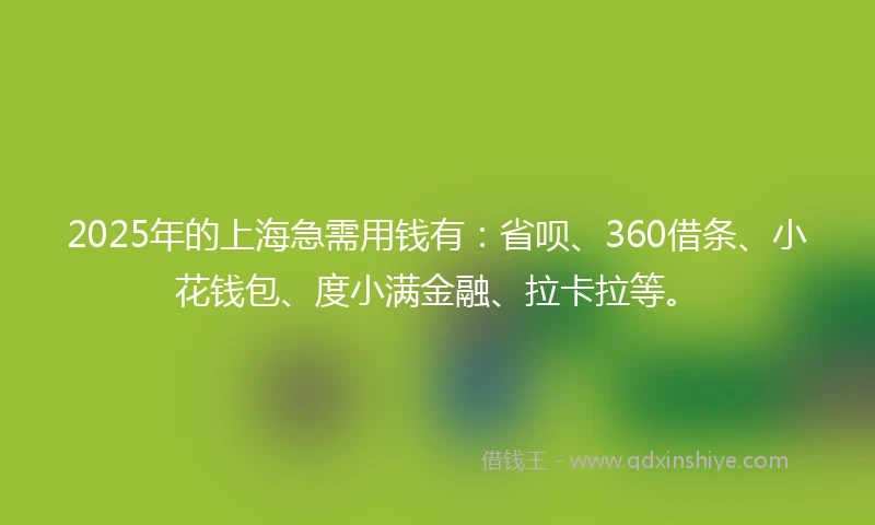 2025年的上海急需用钱有：省呗、360借条、小花钱包、度小满金融、拉卡拉等。