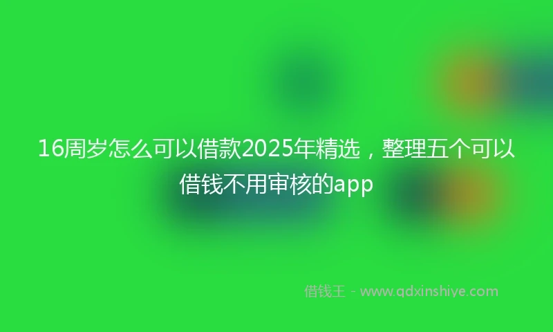 16周岁怎么可以借款2025年精选，整理五个可以借钱不用审核的app