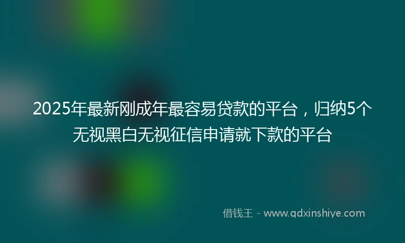 2025年最新刚成年最容易贷款的平台，归纳5个无视黑白无视征信申请就下款的平台