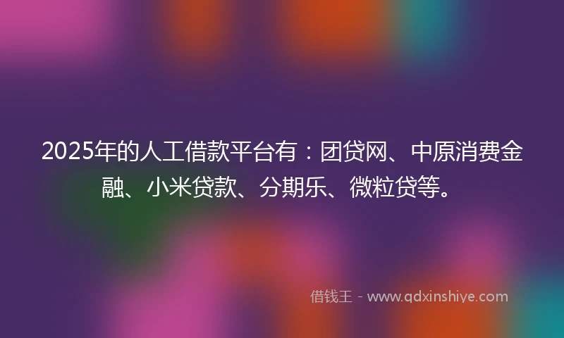 2025年的人工借款平台有：团贷网、中原消费金融、小米贷款、分期乐、微粒贷等。