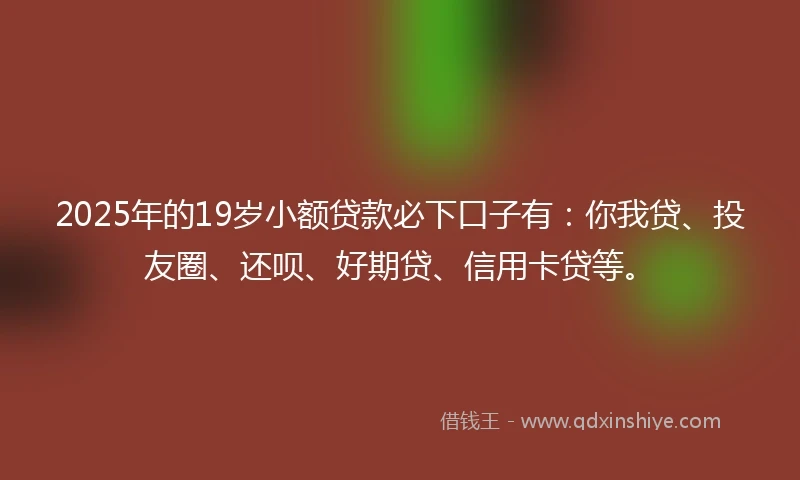 2025年的19岁小额贷款必下口子有：你我贷、投友圈、还呗、好期贷、信用卡贷等。