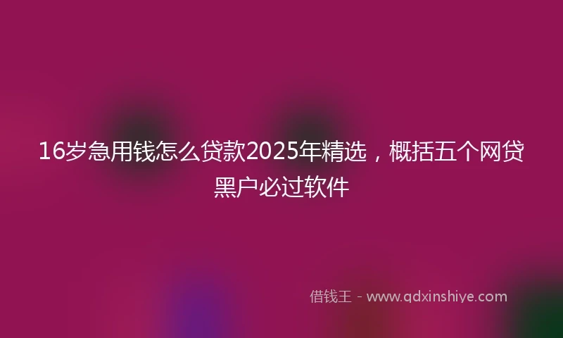 16岁急用钱怎么贷款2025年精选，概括五个网贷黑户必过软件