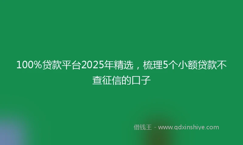 100%贷款平台2025年精选，梳理5个小额贷款不查征信的口子