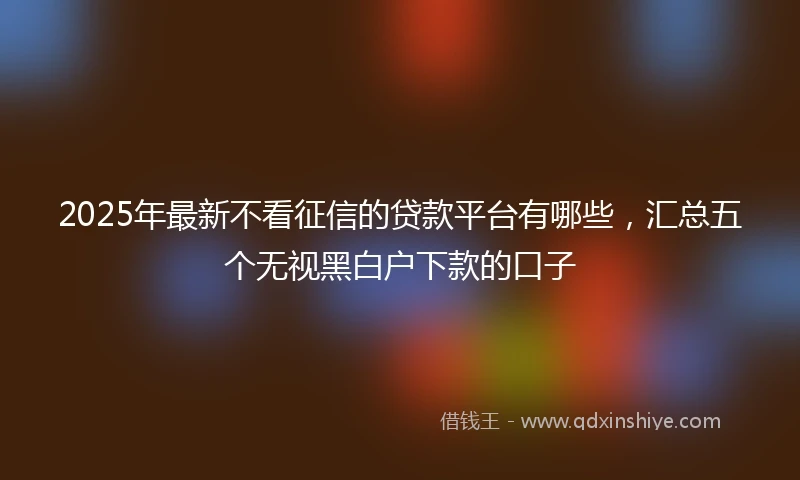 2025年最新不看征信的贷款平台有哪些，汇总五个无视黑白户下款的口子