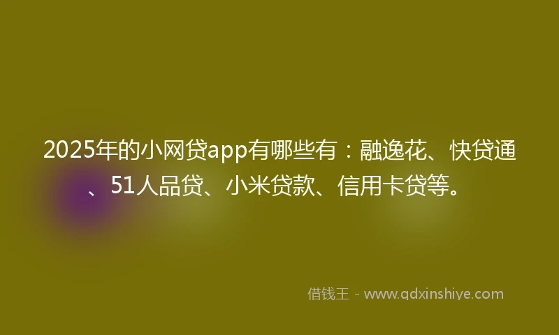 2025年的小网贷app有哪些有：融逸花、快贷通、51人品贷、小米贷款、信用卡贷等。