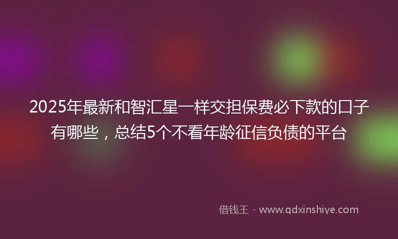2025年最新和智汇星一样交担保费必下款的口子有哪些，总结5个不看年龄征信负债的平台