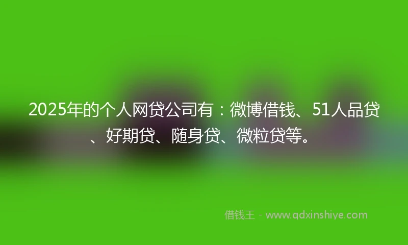 2025年的个人网贷公司有：微博借钱、51人品贷、好期贷、随身贷、微粒贷等。