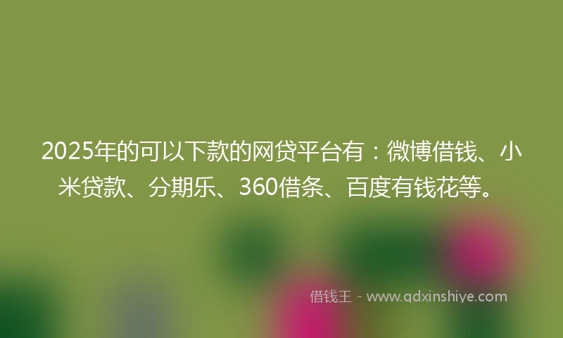 2025年的可以下款的网贷平台有：微博借钱、小米贷款、分期乐、360借条、百度有钱花等。