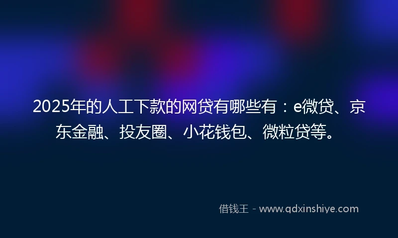 2025年的人工下款的网贷有哪些有：e微贷、京东金融、投友圈、小花钱包、微粒贷等。