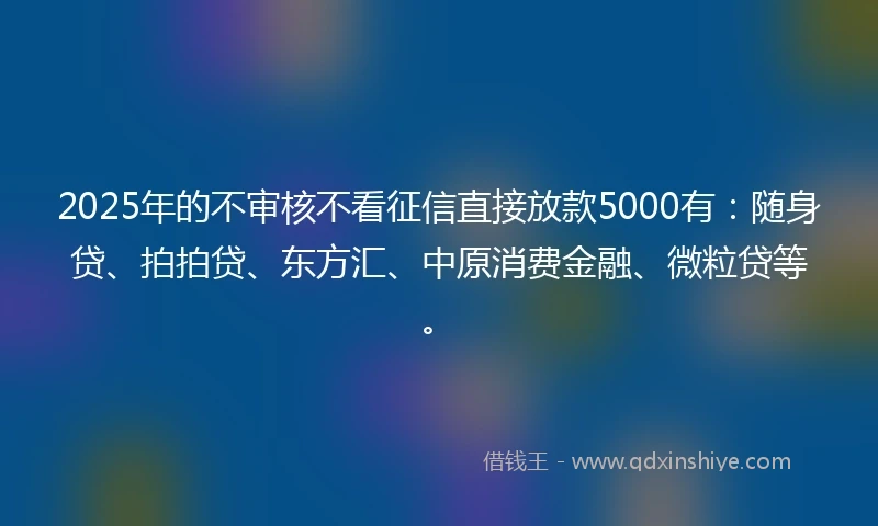 2025年的不审核不看征信直接放款5000有：随身贷、拍拍贷、东方汇、中原消费金融、微粒贷等。