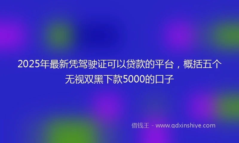 2025年最新凭驾驶证可以贷款的平台，概括五个无视双黑下款5000的口子