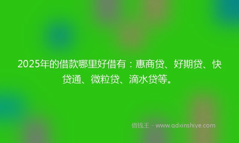 2025年的借款哪里好借有：惠商贷、好期贷、快贷通、微粒贷、滴水贷等。