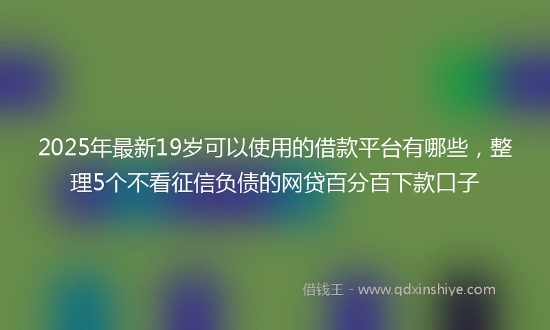 2025年最新19岁可以使用的借款平台有哪些，整理5个不看征信负债的网贷百分百下款口子