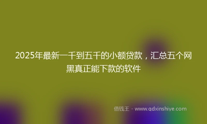 2025年最新一千到五千的小额贷款，汇总五个网黑真正能下款的软件