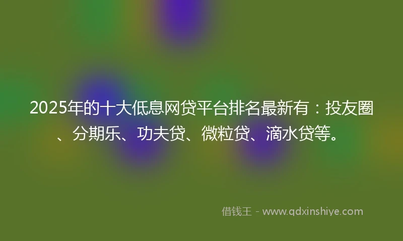 2025年的十大低息网贷平台排名最新有：投友圈、分期乐、功夫贷、微粒贷、滴水贷等。