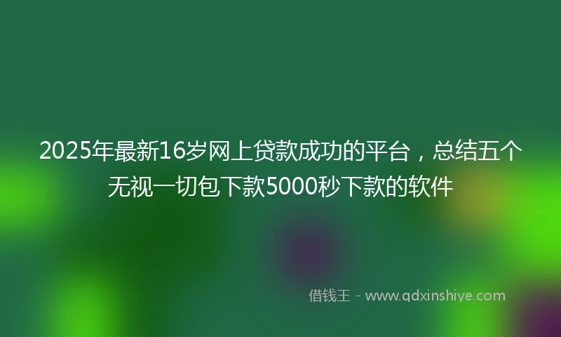 2025年最新16岁网上贷款成功的平台，总结五个无视一切包下款5000秒下款的软件
