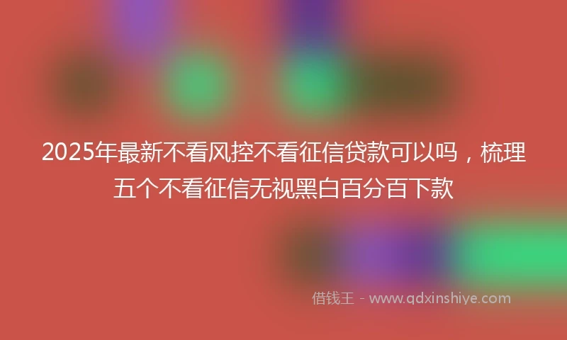 2025年最新不看风控不看征信贷款可以吗，梳理五个不看征信无视黑白百分百下款