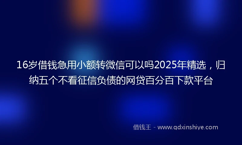16岁借钱急用小额转微信可以吗2025年精选，归纳五个不看征信负债的网贷百分百下款平台