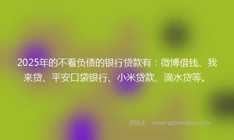 2025年的不看负债的银行贷款有：微博借钱、我来贷、平安口袋银行、小米贷款、滴水贷等。