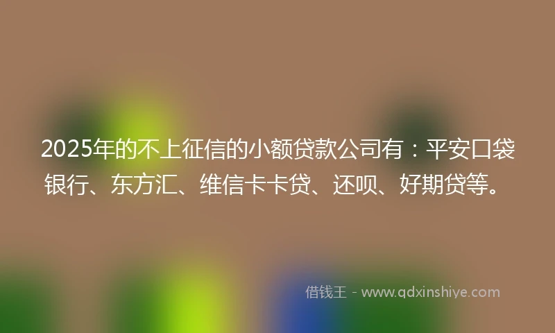 2025年的不上征信的小额贷款公司有：平安口袋银行、东方汇、维信卡卡贷、还呗、好期贷等。