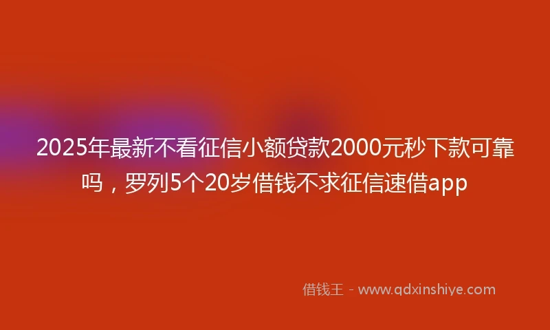 2025年最新不看征信小额贷款2000元秒下款可靠吗，罗列5个20岁借钱不求征信速借app