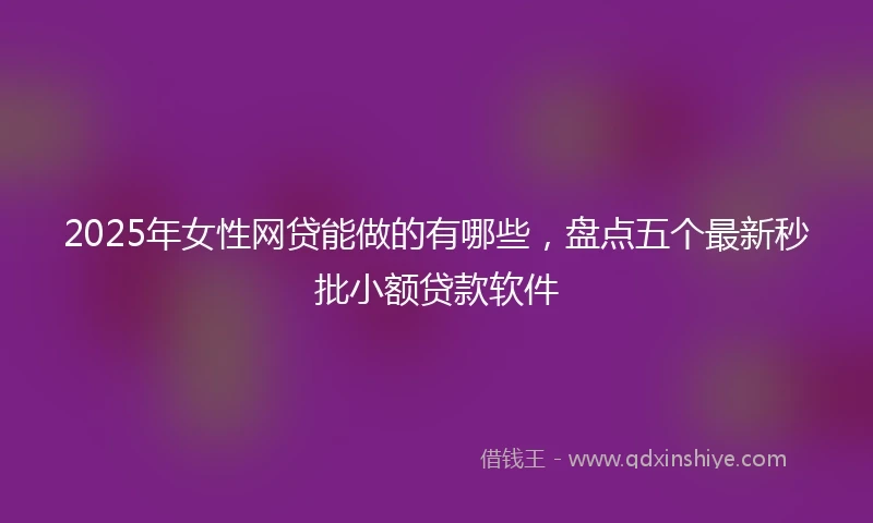2025年女性网贷能做的有哪些，盘点五个最新秒批小额贷款软件