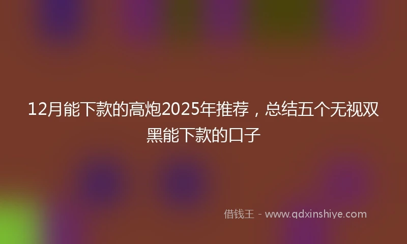 12月能下款的高炮2025年推荐，总结五个无视双黑能下款的口子