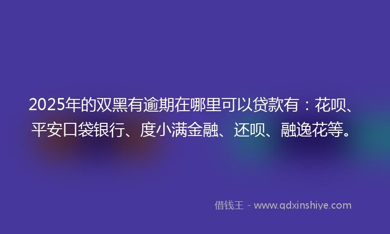 2025年的双黑有逾期在哪里可以贷款有：花呗、平安口袋银行、度小满金融、还呗、融逸花等。