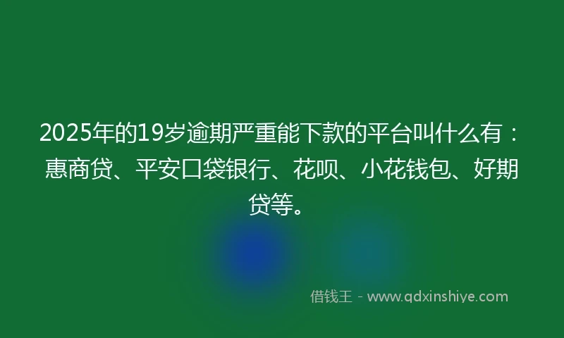 2025年的19岁逾期严重能下款的平台叫什么有：惠商贷、平安口袋银行、花呗、小花钱包、好期贷等。
