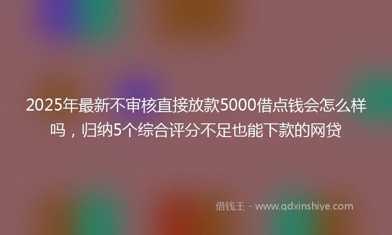 2025年最新不审核直接放款5000借点钱会怎么样吗，归纳5个综合评分不足也能下款的网贷