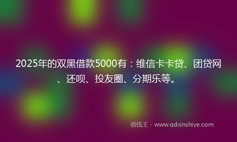 2025年的双黑借款5000有：维信卡卡贷、团贷网、还呗、投友圈、分期乐等。