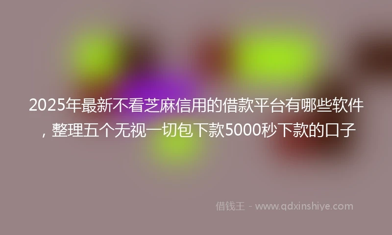 2025年最新不看芝麻信用的借款平台有哪些软件，整理五个无视一切包下款5000秒下款的口子