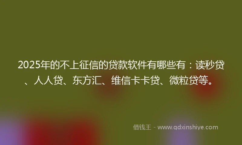 2025年的不上征信的贷款软件有哪些有：读秒贷、人人贷、东方汇、维信卡卡贷、微粒贷等。