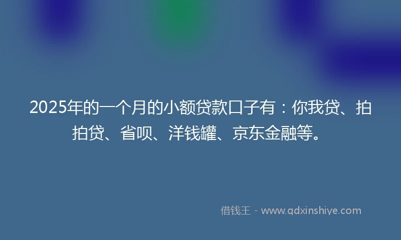 2025年的一个月的小额贷款口子有：你我贷、拍拍贷、省呗、洋钱罐、京东金融等。