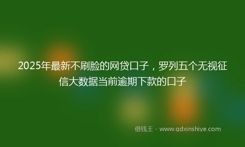 2025年最新不刷脸的网贷口子，罗列五个无视征信大数据当前逾期下款的口子