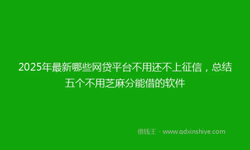 2025年最新哪些网贷平台不用还不上征信，总结五个不用芝麻分能借的软件