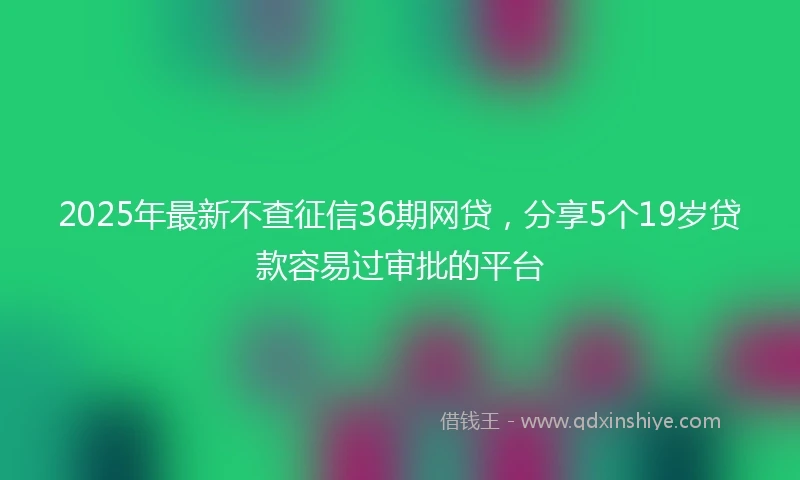 2025年最新不查征信36期网贷，分享5个19岁贷款容易过审批的平台