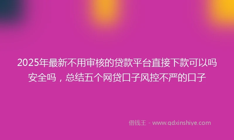 2025年最新不用审核的贷款平台直接下款可以吗安全吗，总结五个网贷口子风控不严的口子