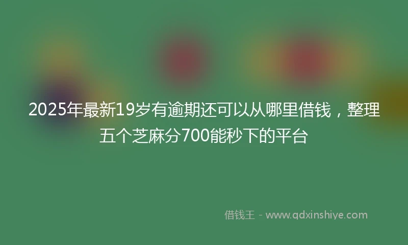 2025年最新19岁有逾期还可以从哪里借钱，整理五个芝麻分700能秒下的平台