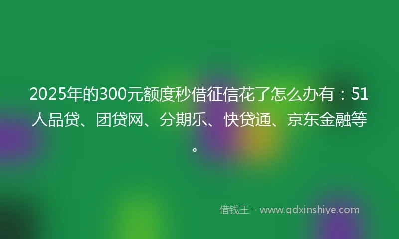 2025年的300元额度秒借征信花了怎么办有：51人品贷、团贷网、分期乐、快贷通、京东金融等。