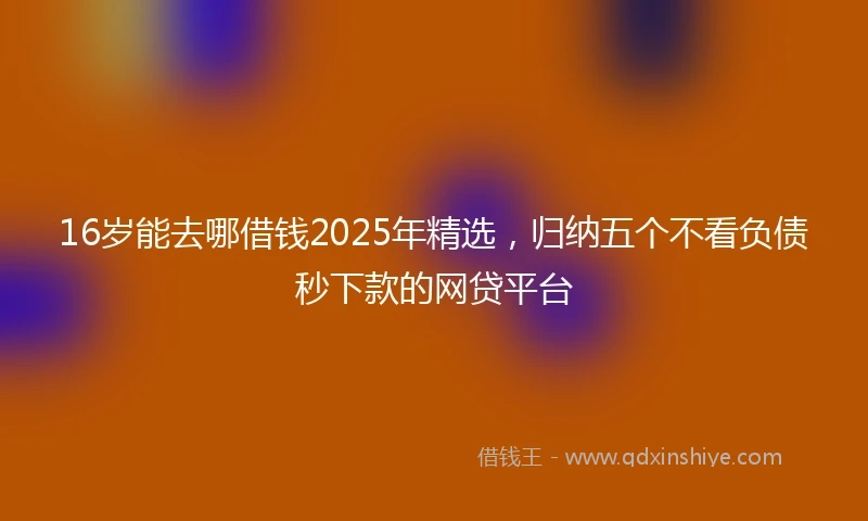 16岁能去哪借钱2025年精选，归纳五个不看负债秒下款的网贷平台