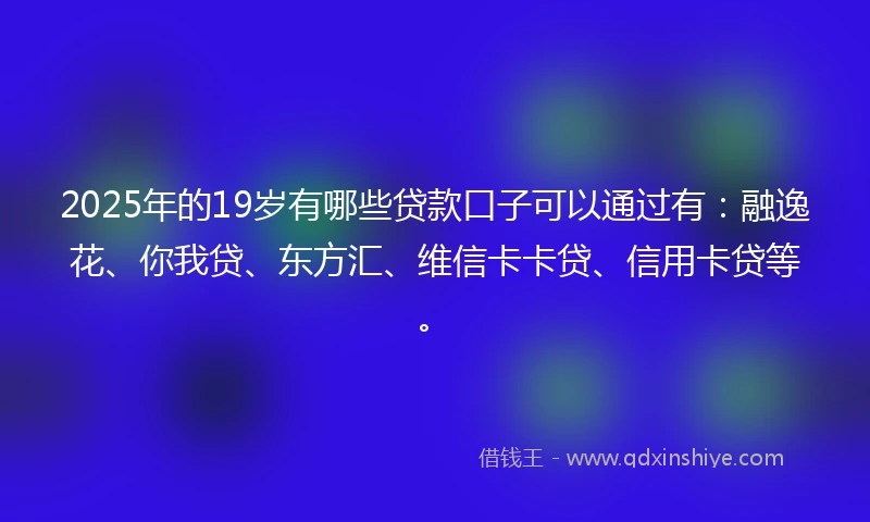 2025年的19岁有哪些贷款口子可以通过有：融逸花、你我贷、东方汇、维信卡卡贷、信用卡贷等。