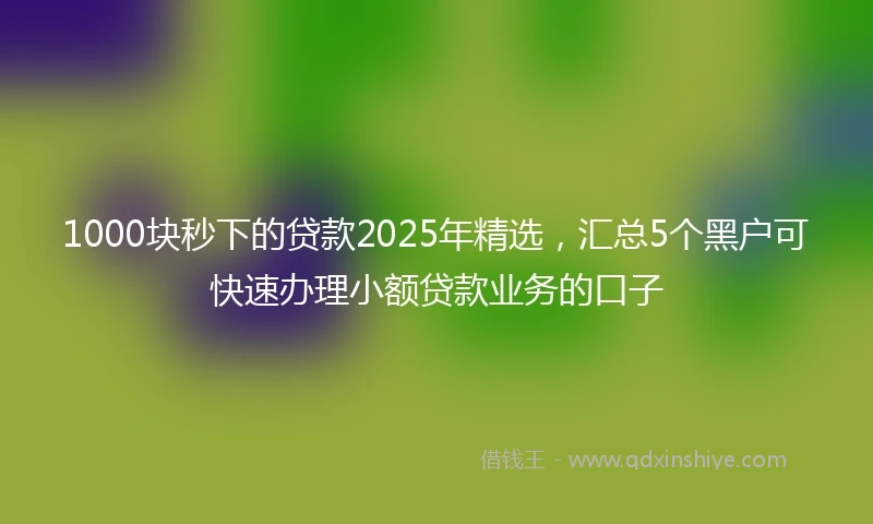 1000块秒下的贷款2025年精选，汇总5个黑户可快速办理小额贷款业务的口子