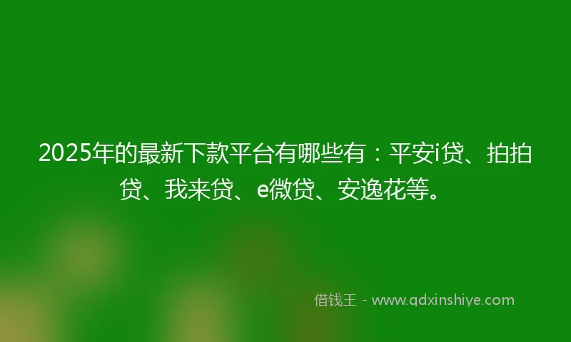 2025年的最新下款平台有哪些有：平安i贷、拍拍贷、我来贷、e微贷、安逸花等。