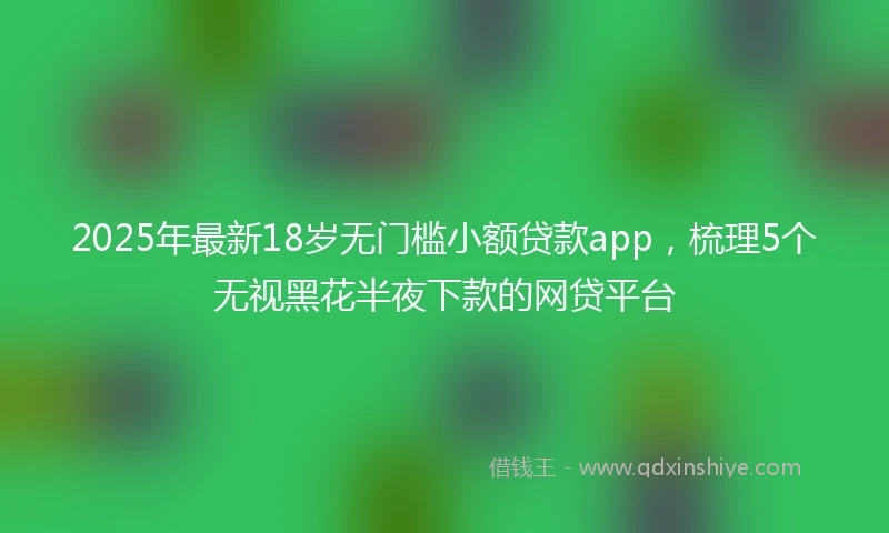 2025年最新18岁无门槛小额贷款app，梳理5个无视黑花半夜下款的网贷平台