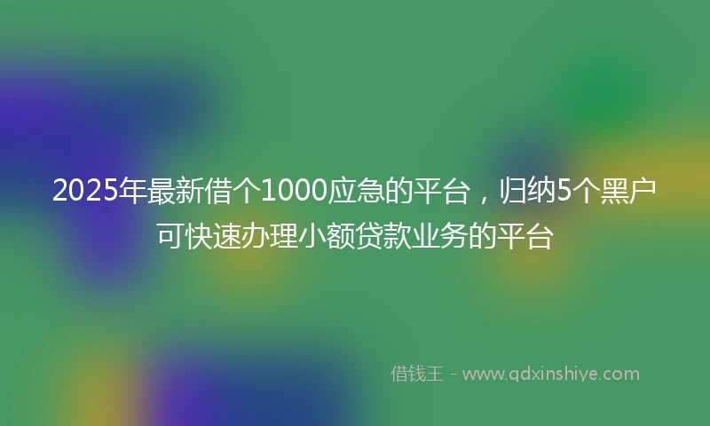 2025年最新借个1000应急的平台，归纳5个黑户可快速办理小额贷款业务的平台