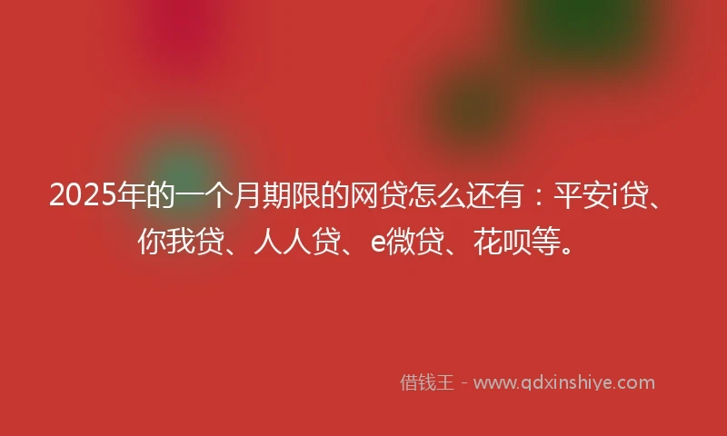 2025年的一个月期限的网贷怎么还有：平安i贷、你我贷、人人贷、e微贷、花呗等。