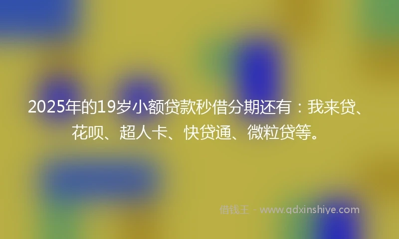 2025年的19岁小额贷款秒借分期还有：我来贷、花呗、超人卡、快贷通、微粒贷等。