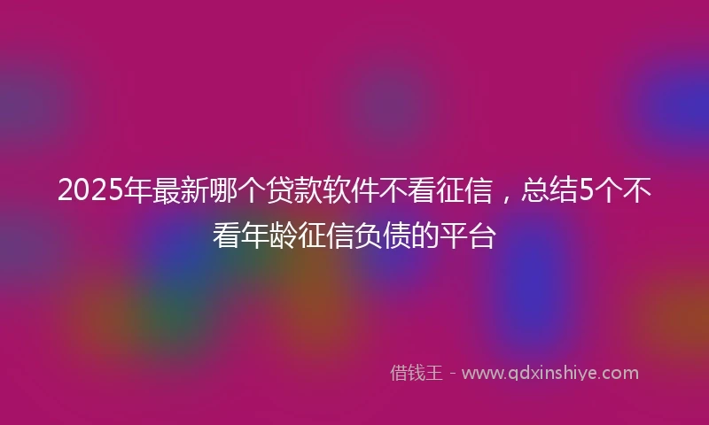 2025年最新哪个贷款软件不看征信，总结5个不看年龄征信负债的平台